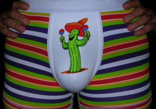 cactoos