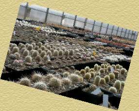 Greenhouses